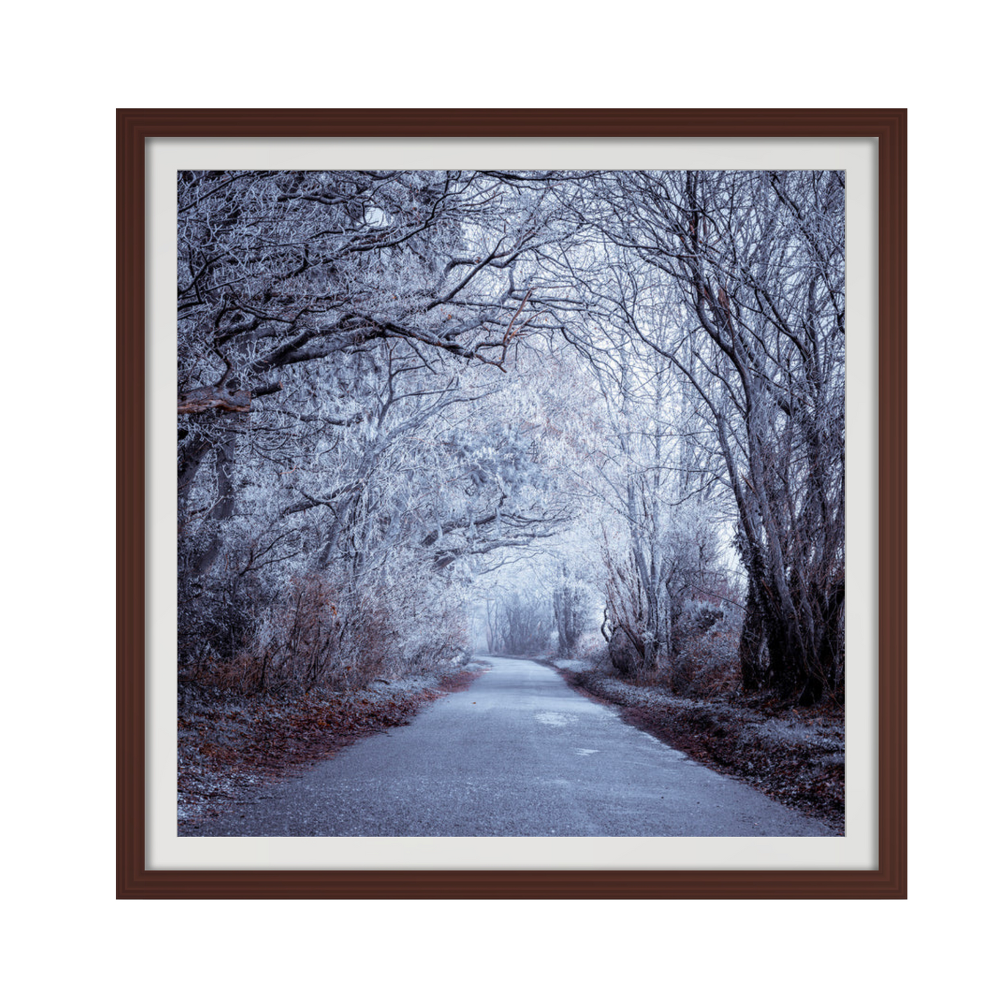 Frosted road