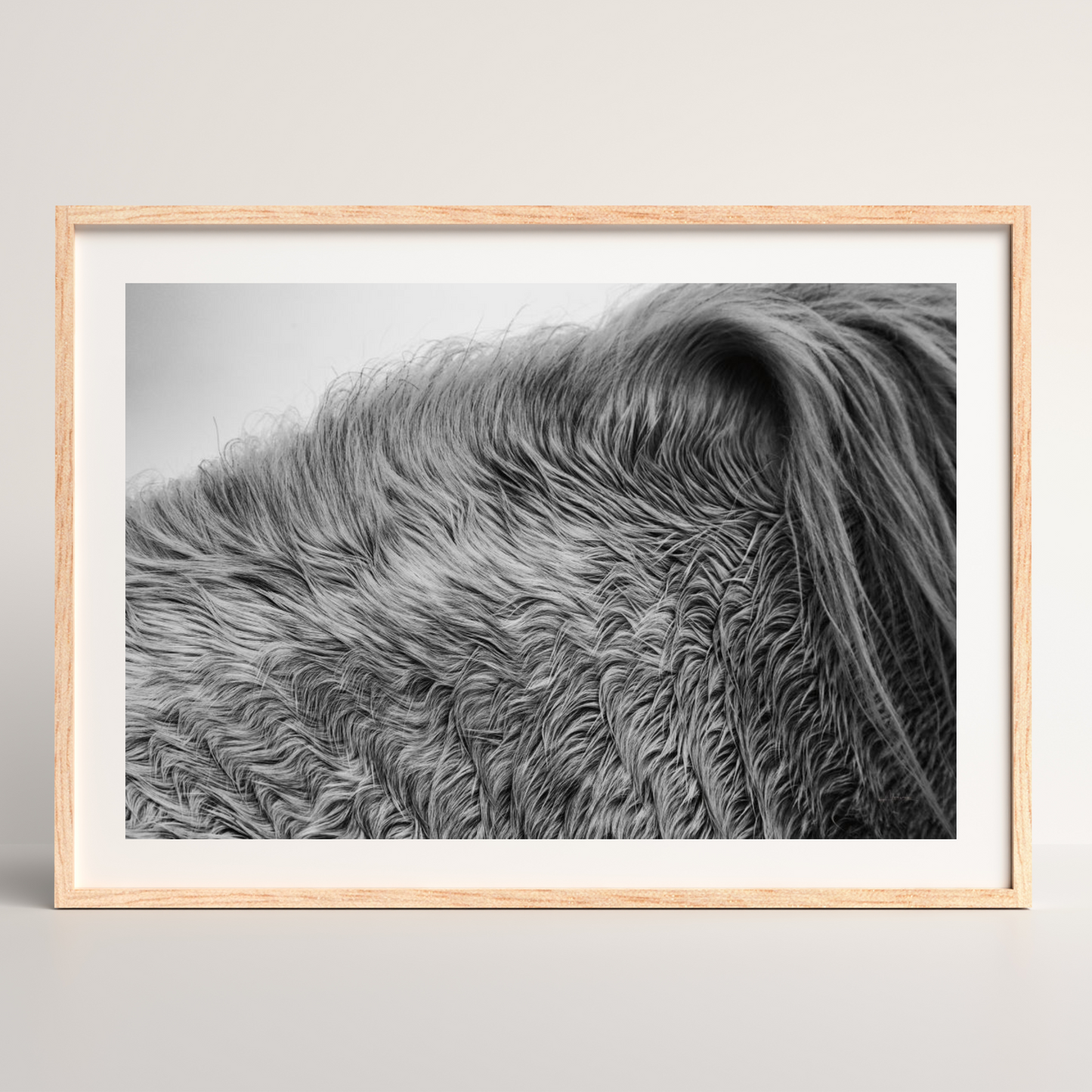 Horse Hair