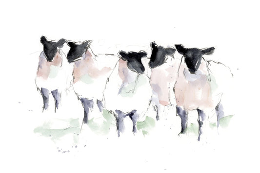 Minimalist Watercolor Sheep I