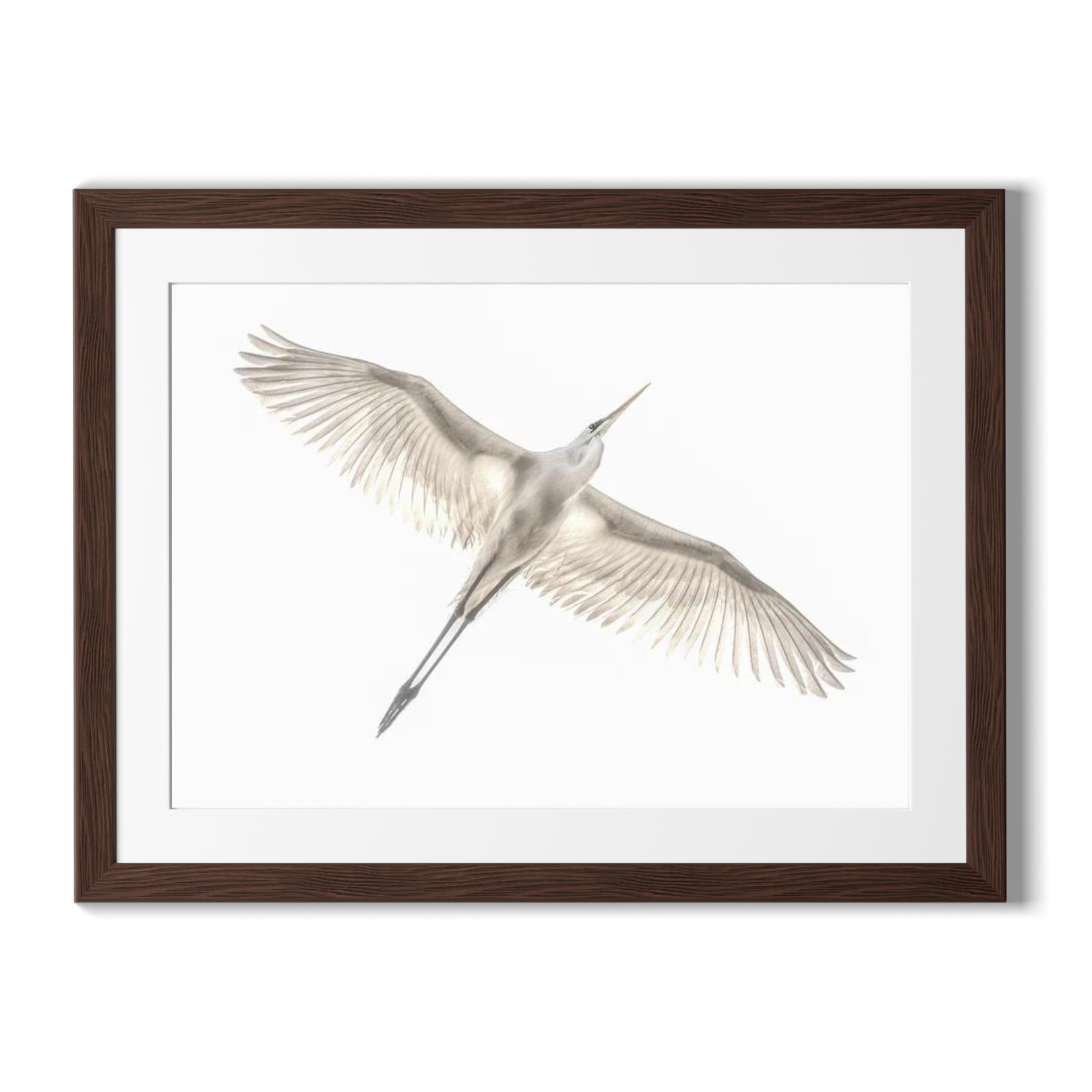 Fly – Print Post Wall Art