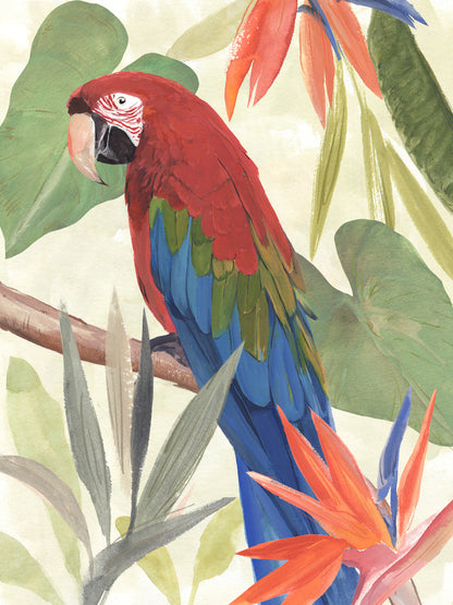 Tropical Parrot Composition III