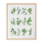 Herb Chart