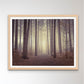 Misty trees