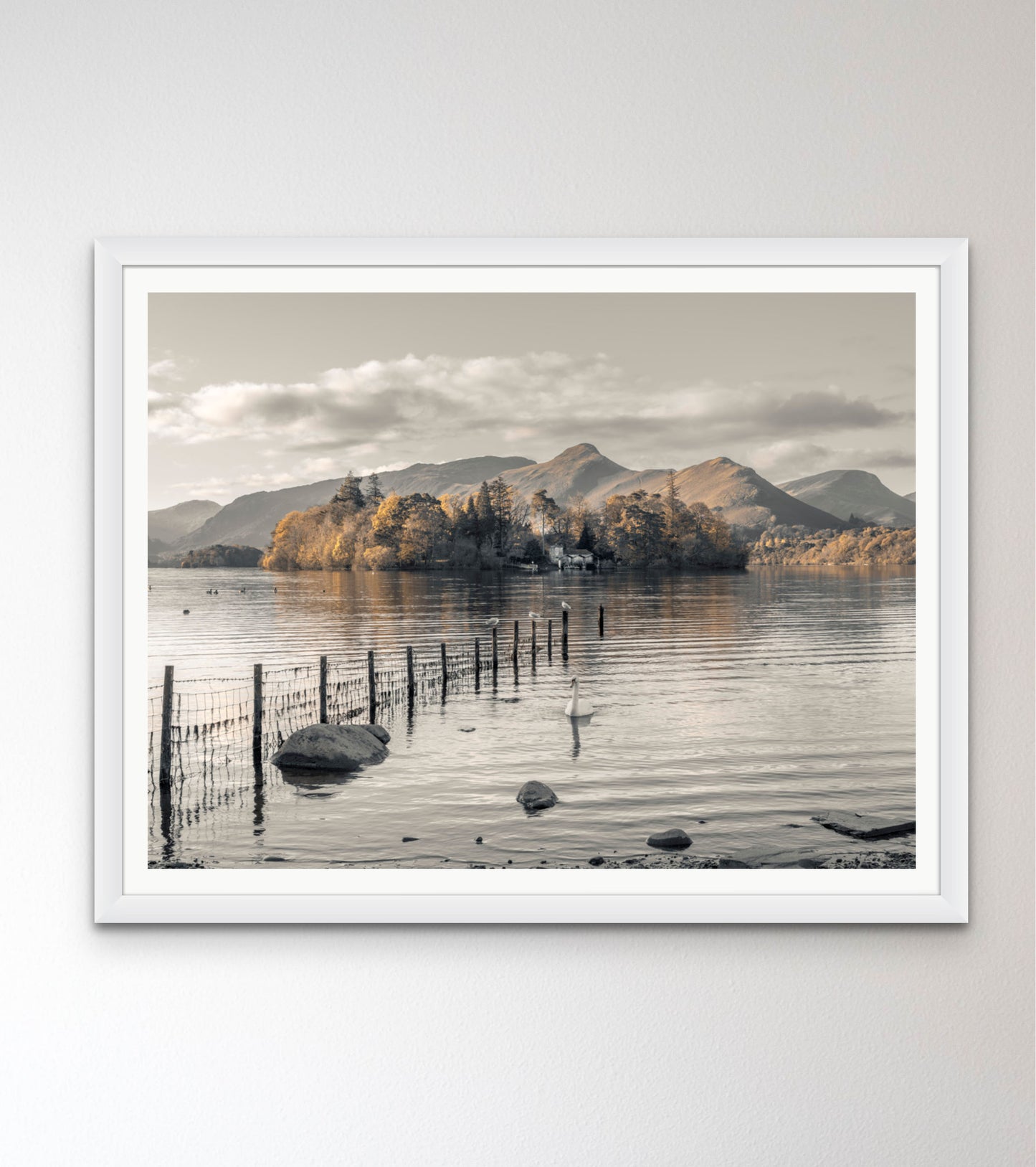 Morning at Derwent island, Derwentwater