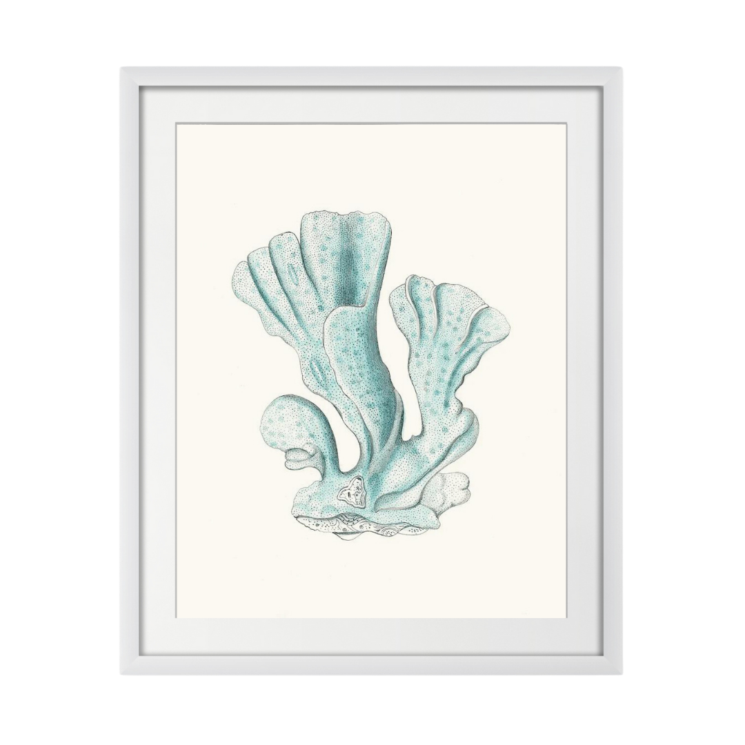 Antique Coastal Coral XI