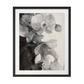 Orchid Splendor II