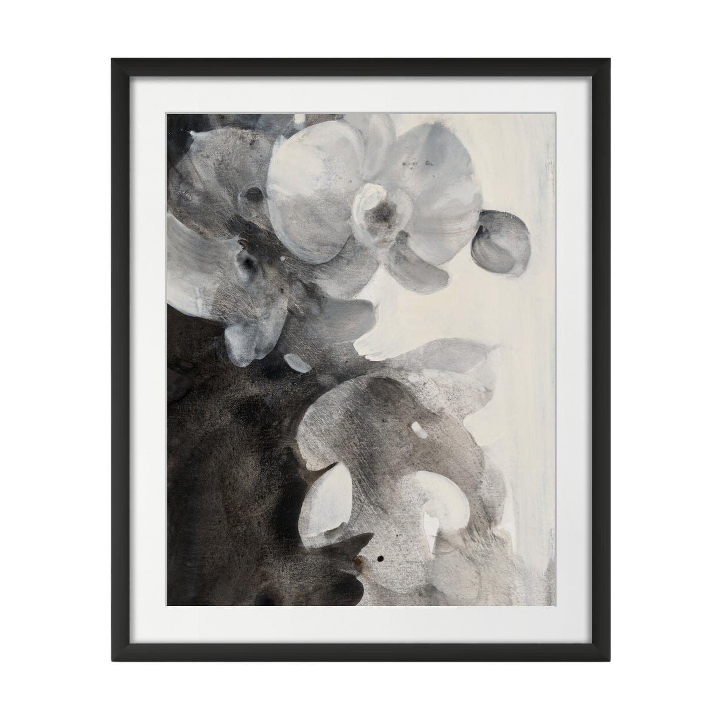 Orchid Splendor II