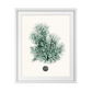 Antique Coastal Coral V