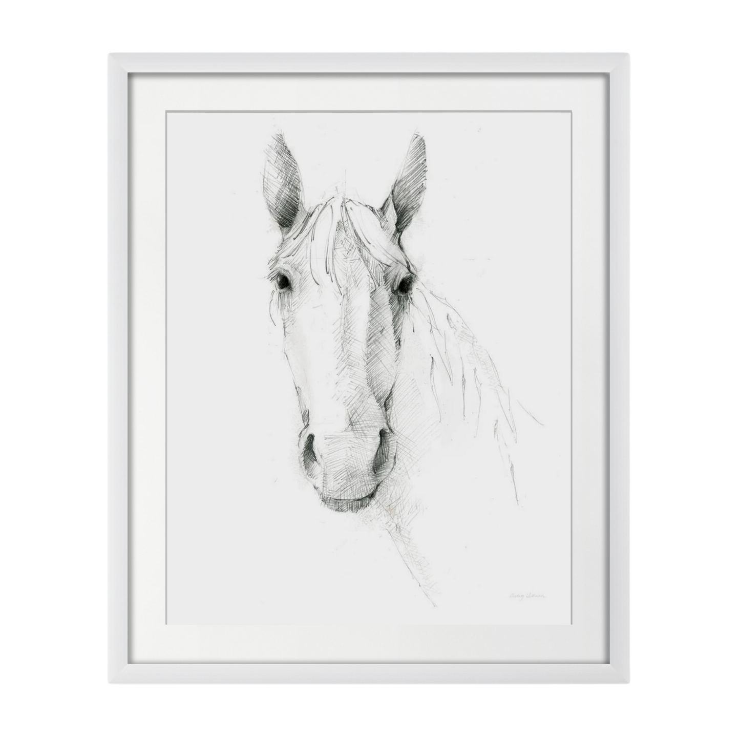 Horse Sketch