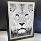 Lion Portrait Print B&W