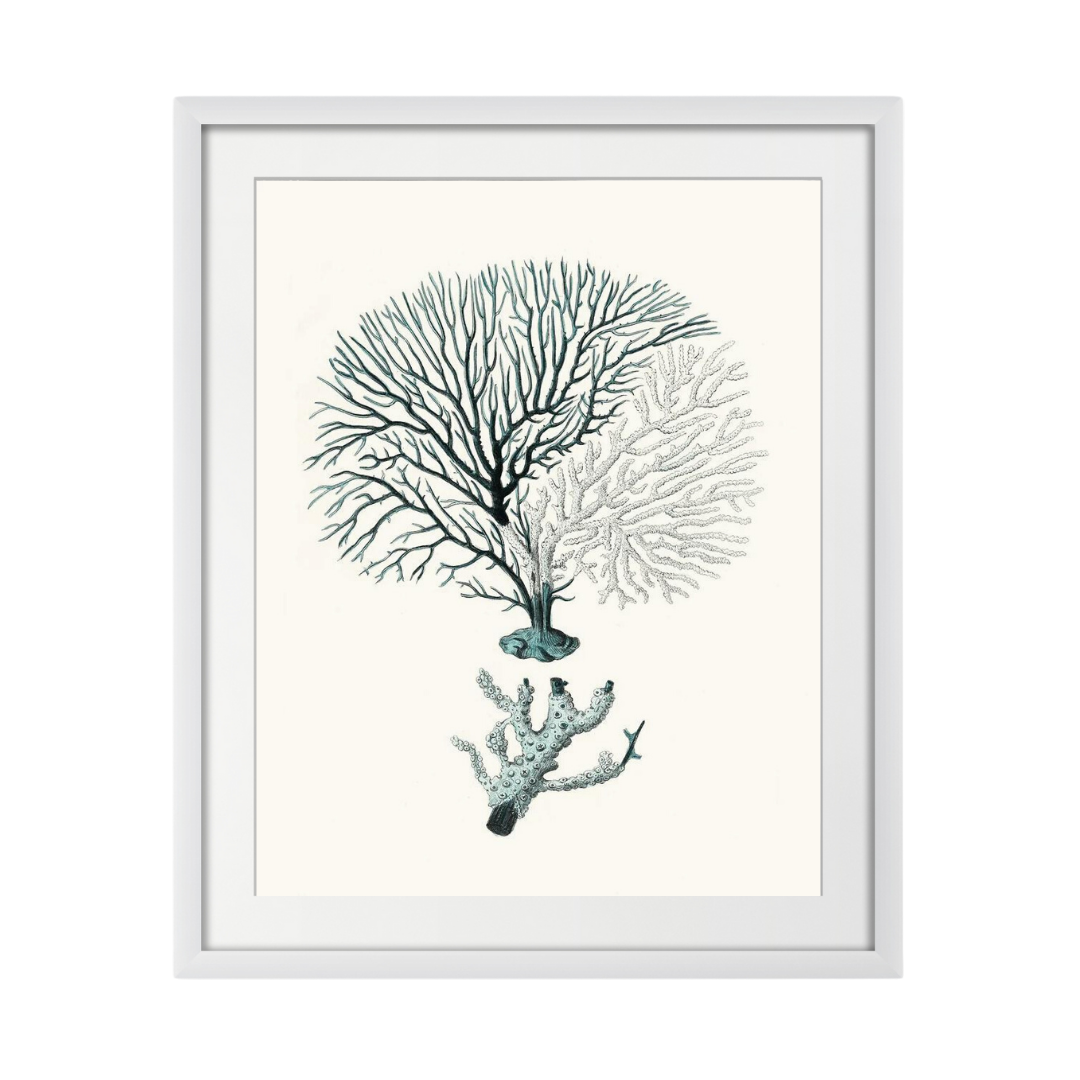 Antique Coastal Coral III