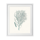 Antique Coastal Coral I