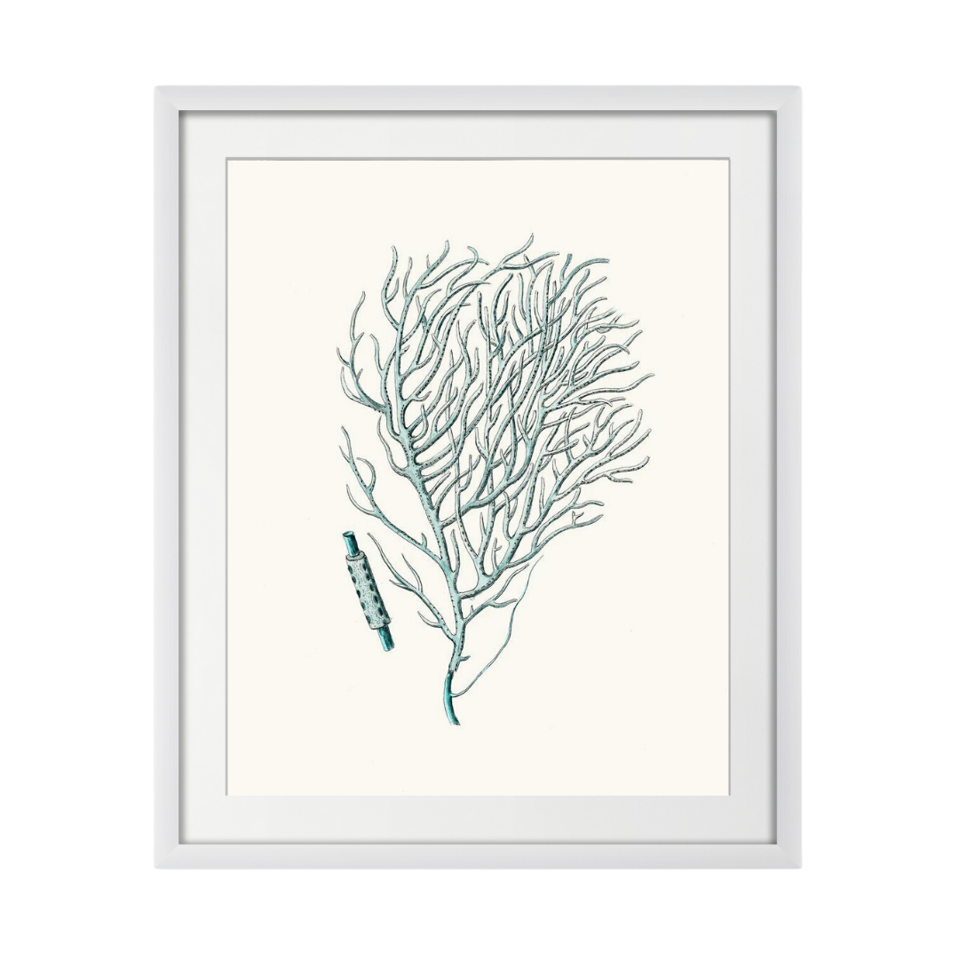 Antique Coastal Coral I