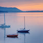 Bellingham Bay Crop