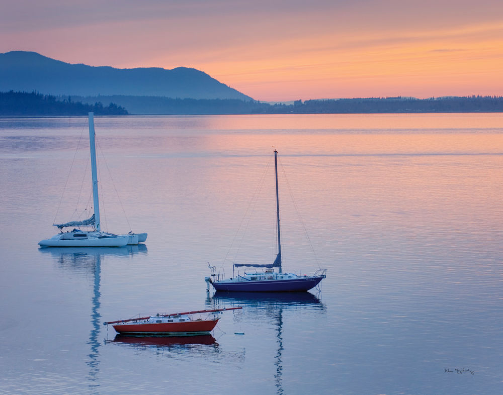 Bellingham Bay Crop