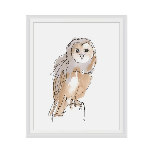 Barn Owl VIII