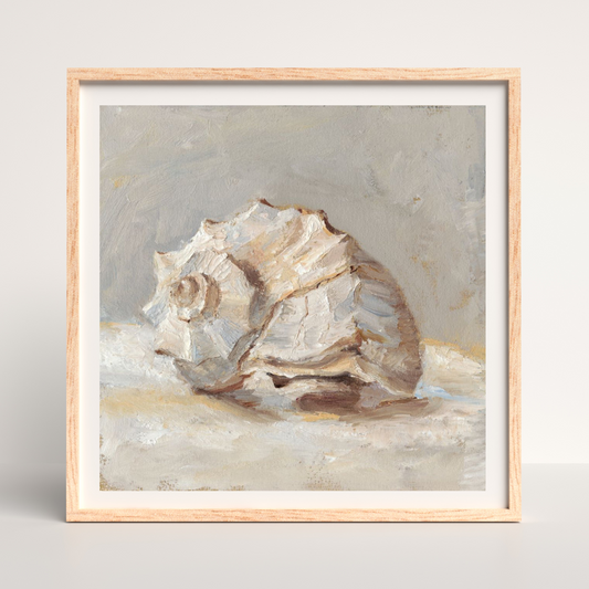 Impressionist Shell Study II