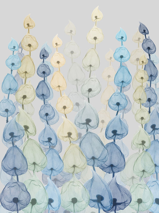 Lantern Forest 3