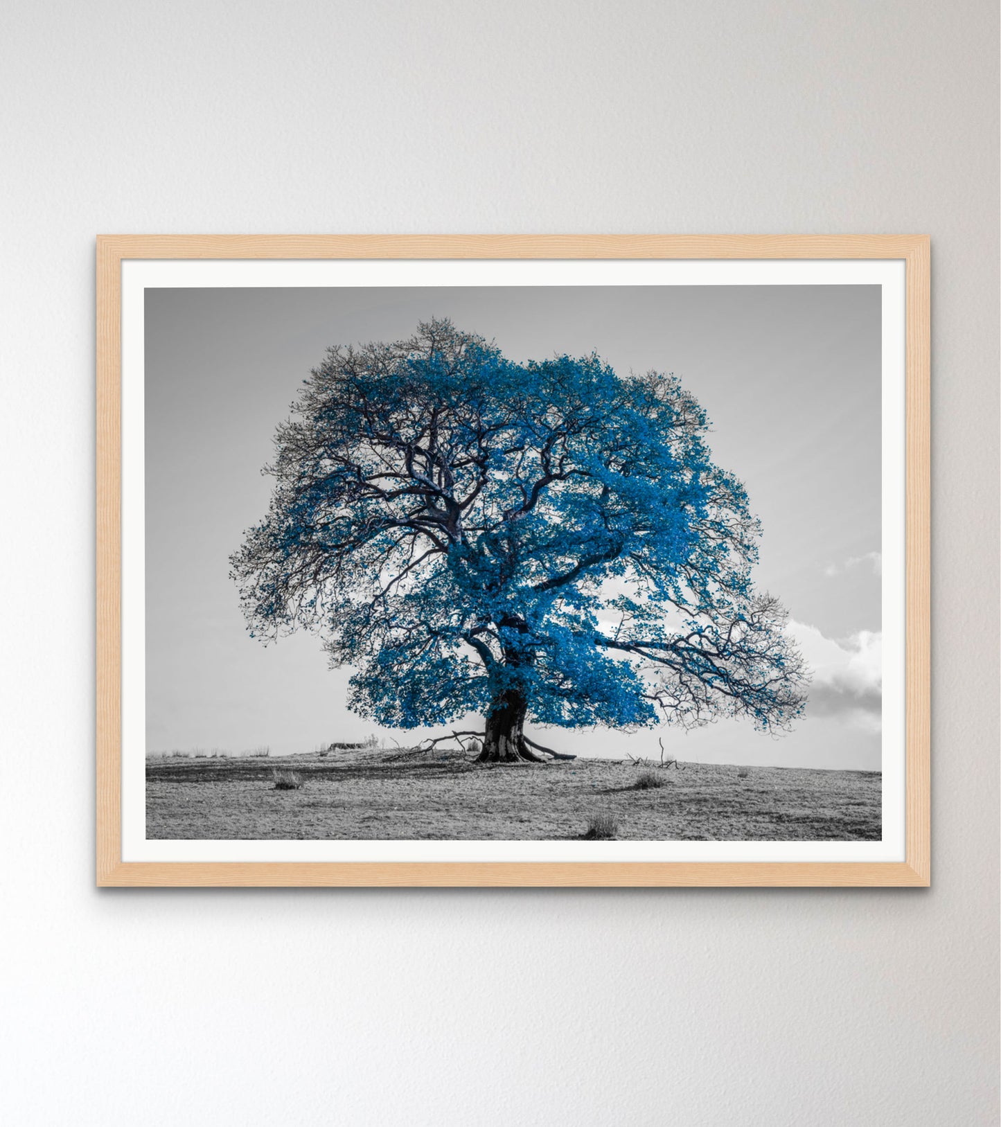 Tree on a hill, blue