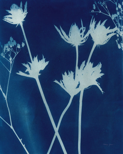 Enchanted Cyanotype I
