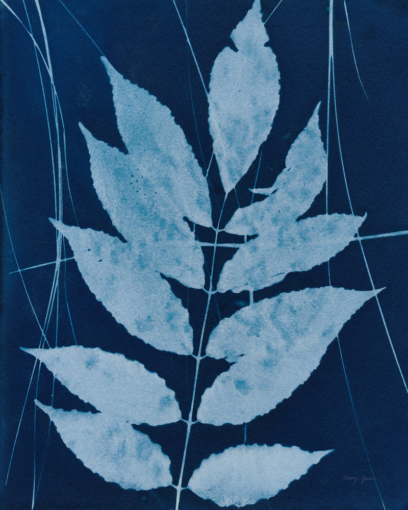 Enchanted Cyanotype IX