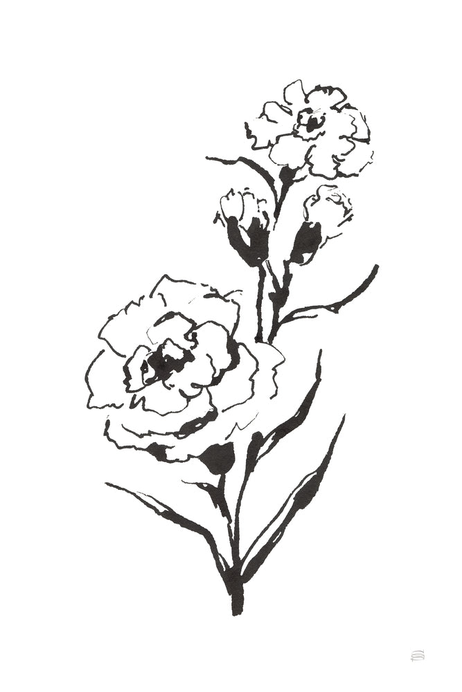 Line Carnation III