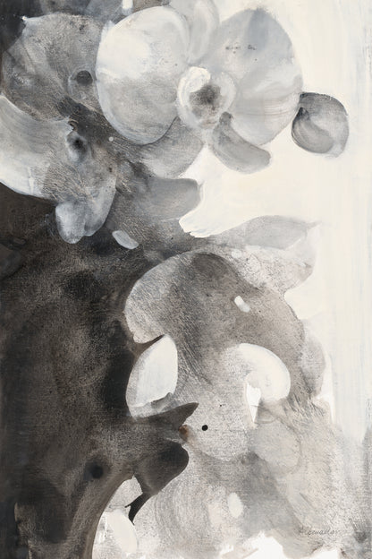 Orchid Splendor II