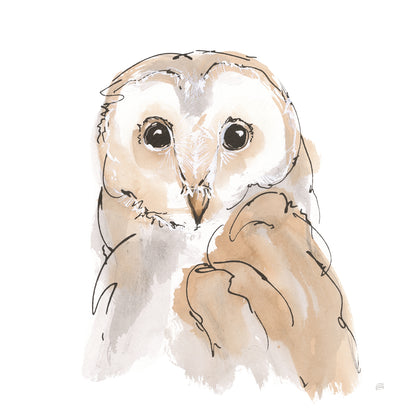 Barn Owl II