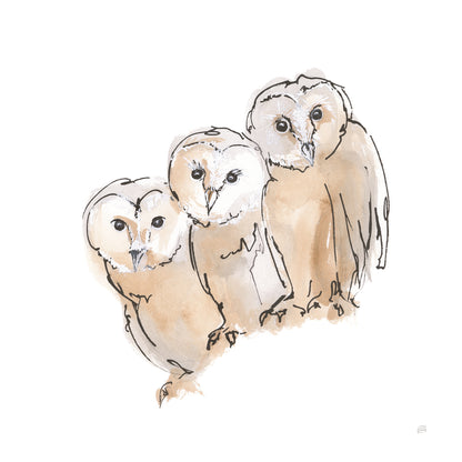 Barn Owl III