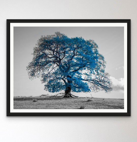 Tree on a hill, blue