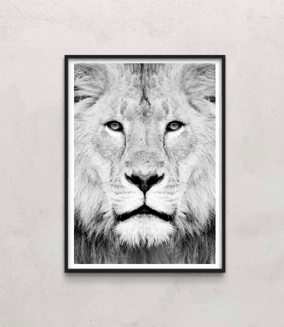 Lion Portrait Print B&W