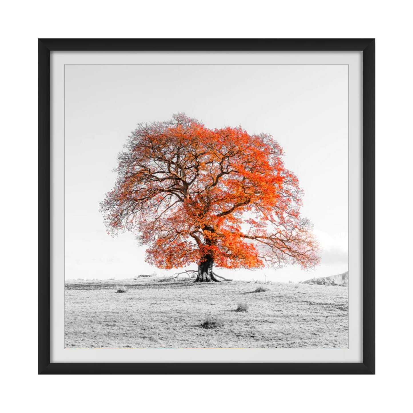 Tree on a hill, orange