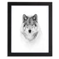 Portrait of a Timber Wolf