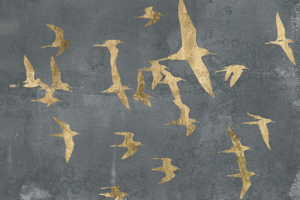 Silhouettes in Flight IV