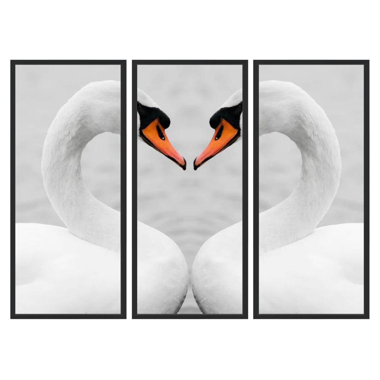 True love of swans Triptych
