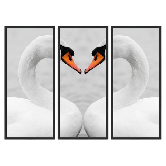 True love of swans Triptych