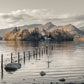 Morning at Derwent island, Derwentwater