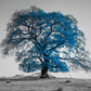Tree on a hill, blue