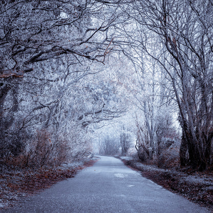 Frosted road