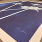 Enchanted Cyanotype I