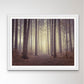 Misty trees